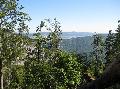 IMG_1508
