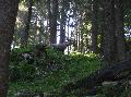 IMG_1514