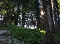 IMG_1515
