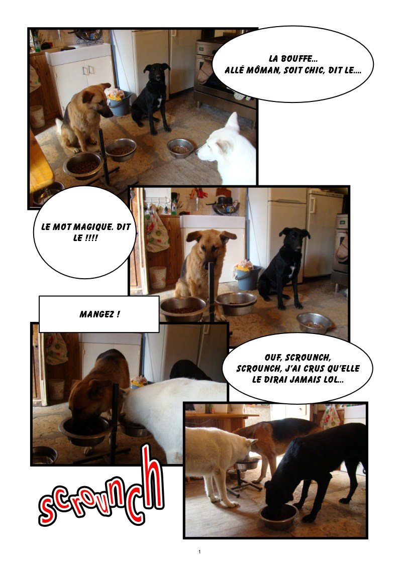 Image h�berg�e par Casimages.com : votre h�bergeur d images simple et gratuit