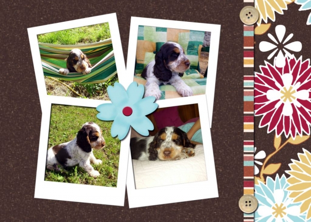 Image hébergée par Casimages.com : votre hébergeur d images simple et gratuit