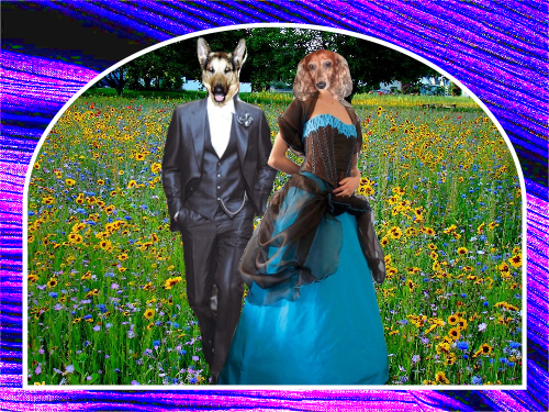 Image h�berg�e par Casimages.com : votre h�bergeur d images simple et gratuit