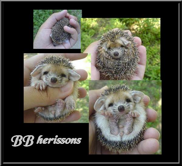 Image h�berg�e par Casimages.com : votre h�bergeur d images simple et gratuit