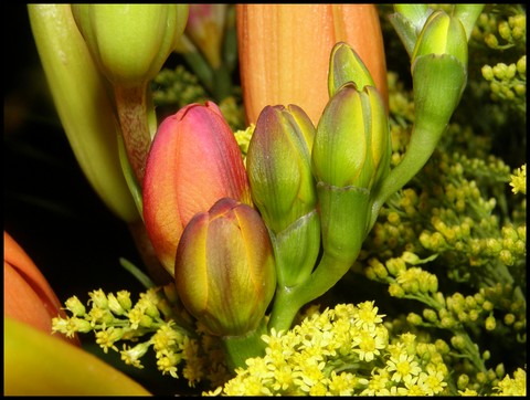 Image hébergée par Casimages.com : votre hébergeur d images simple et gratuit