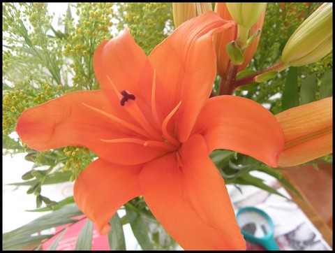 Image hébergée par Casimages.com : votre hébergeur d images simple et gratuit
