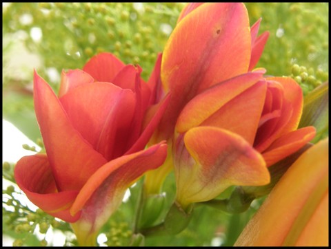 Image hébergée par Casimages.com : votre hébergeur d images simple et gratuit