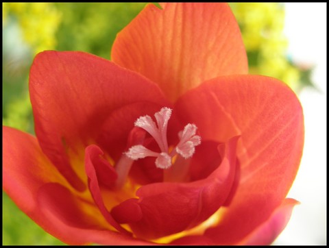 Image hébergée par Casimages.com : votre hébergeur d images simple et gratuit