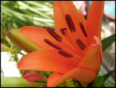Image hébergée par Casimages.com : votre hébergeur d images simple et gratuit