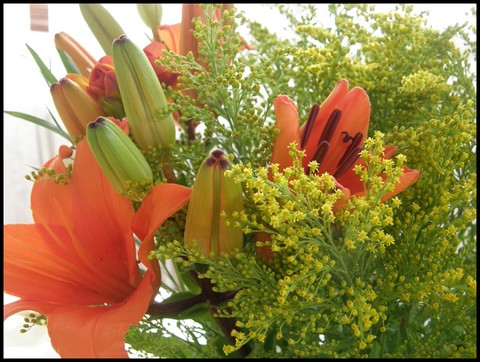 Image hébergée par Casimages.com : votre hébergeur d images simple et gratuit