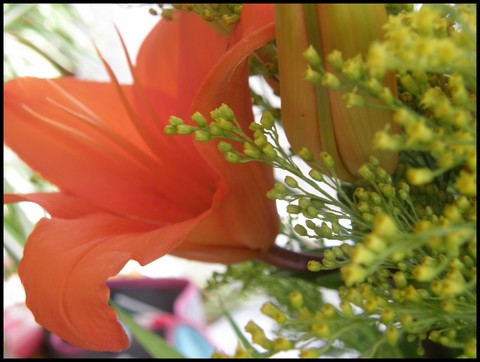 Image hébergée par Casimages.com : votre hébergeur d images simple et gratuit