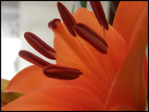 Image hébergée par Casimages.com : votre hébergeur d images simple et gratuit