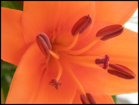 Image hébergée par Casimages.com : votre hébergeur d images simple et gratuit