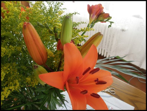 Image hébergée par Casimages.com : votre hébergeur d images simple et gratuit