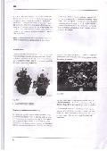 ENREGISTRER0117.jpg