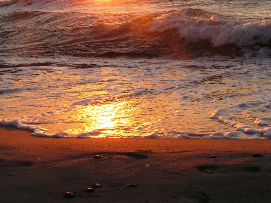 Deniz Resimleri (1. Katalog)