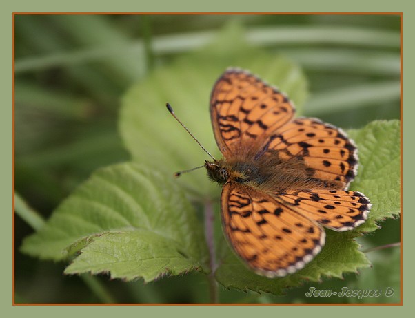 Image hébergée par Casimages.com : votre hébergeur d images simple et gratuit