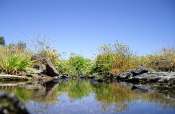 OUED