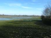 Marais
