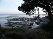 Cancale