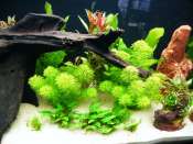 Aquarium