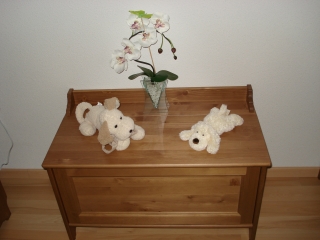 Image hébergée par Casimages.com : votre hébergeur d images simple et gratuit