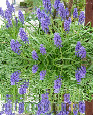 Image hébergée par Casimages.com : votre hébergeur d images simple et gratuit