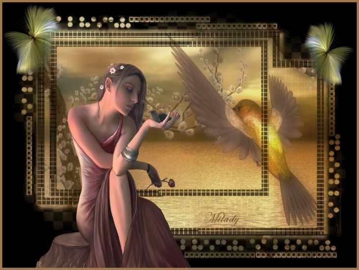 Image hébergée par Casimages.com : votre hébergeur d images simple et gratuit