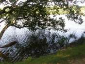 Le Lac Marion