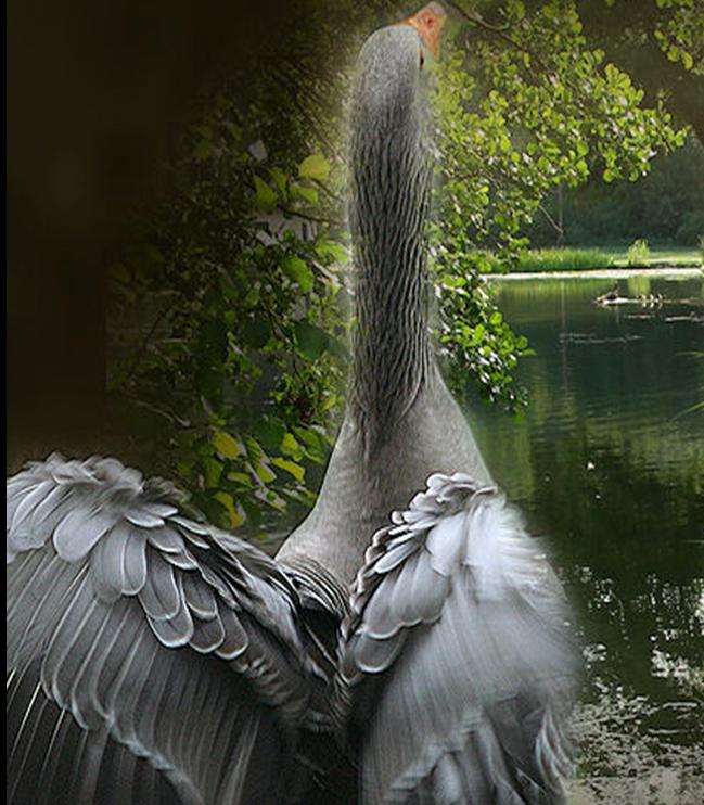Image hébergée par Casimages.com : votre hébergeur d images simple et gratuit