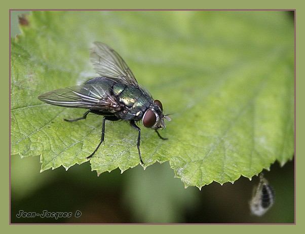 Image hébergée par Casimages.com : votre hébergeur d images simple et gratuit