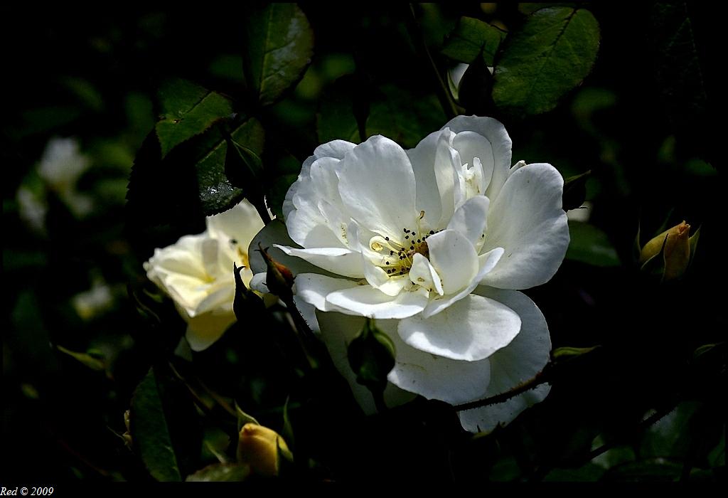 Image hébergée par Casimages.com : votre hébergeur d images simple
et gratuit