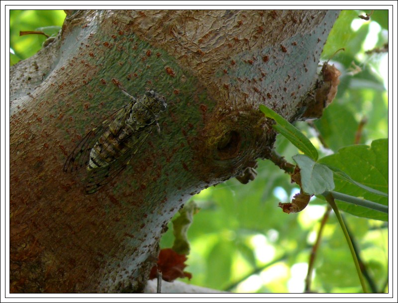 Image hébergée par Casimages.com : votre hébergeur d images simple et gratuit