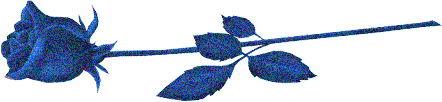 Image h�berg�e par Casimages.com : votre h�bergeur d images simple et gratuit