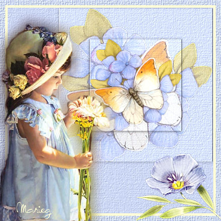 Image hébergée par Casimages.com : votre hébergeur d images simple et gratuit