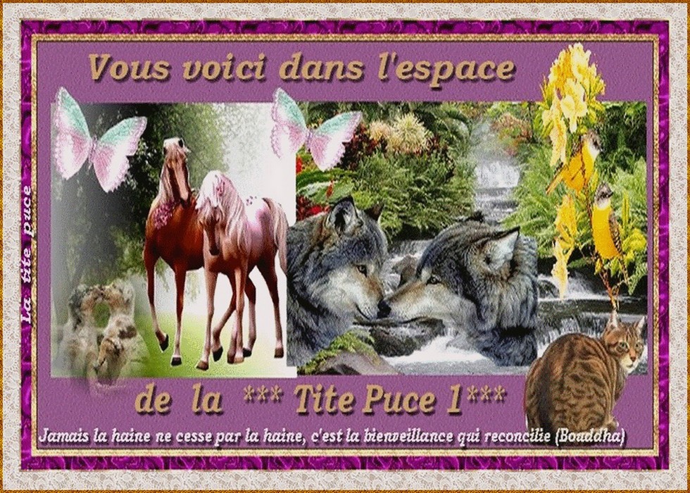 Image hébergée par Casimages.com : votre hébergeur d images simple et gratuit