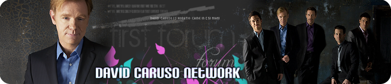 David Caruso Network, Forum
