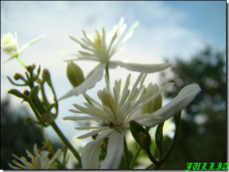 Image hébergée par Casimages.com : votre hébergeur d images simple et gratuit