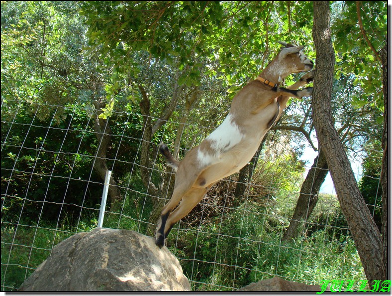 Image hébergée par Casimages.com : votre hébergeur d images simple et gratuit