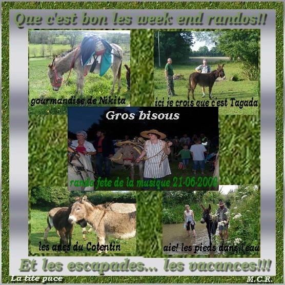 voir l'image en taille réelle