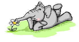 Image hébergée par Casimages.com : votre hébergeur d images simple et gratuit