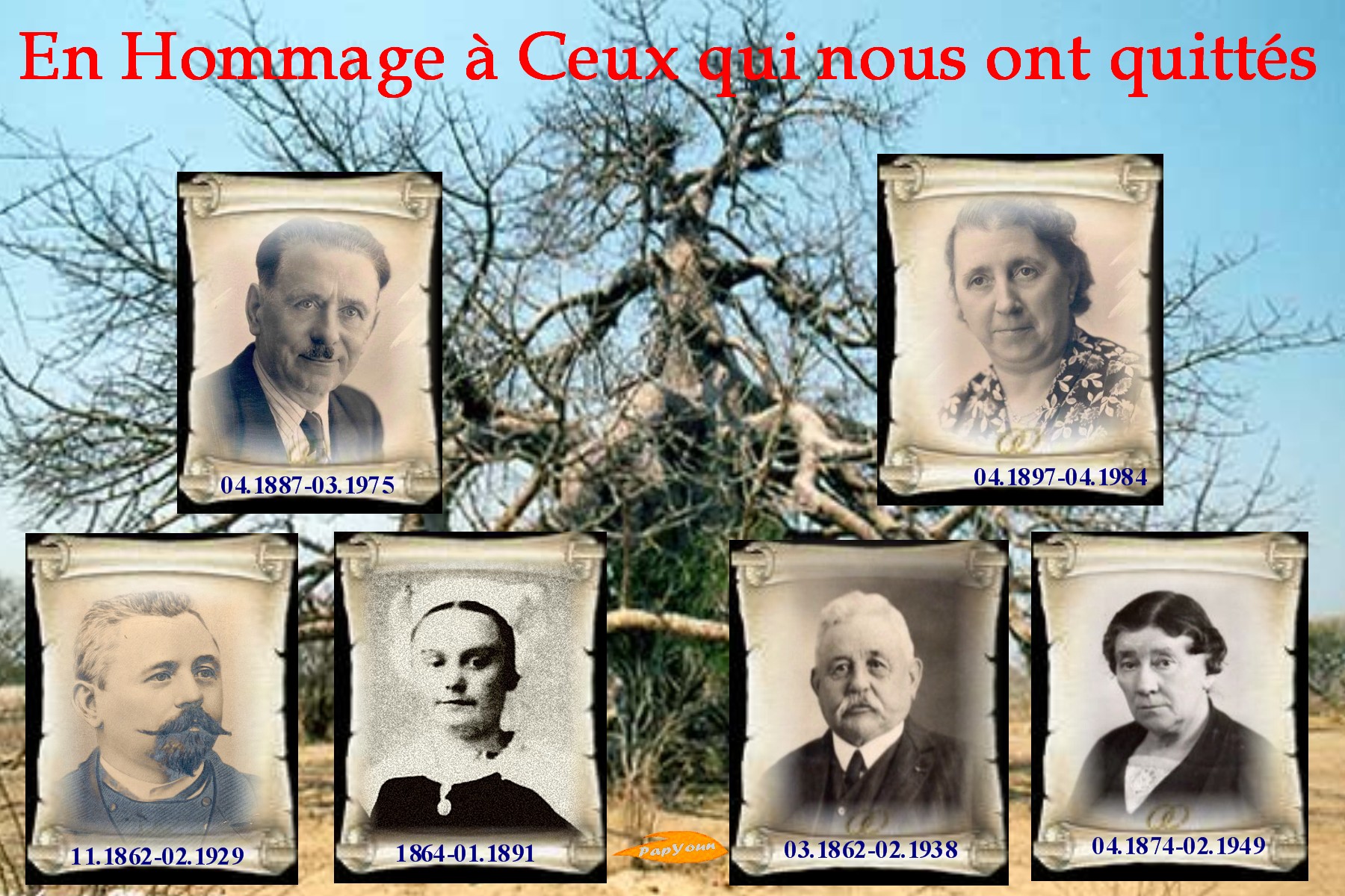 voir l'image en taille réelle