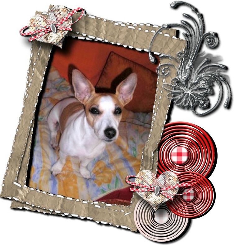 Image hébergée par Casimages.com : votre hébergeur d images simple et gratuit