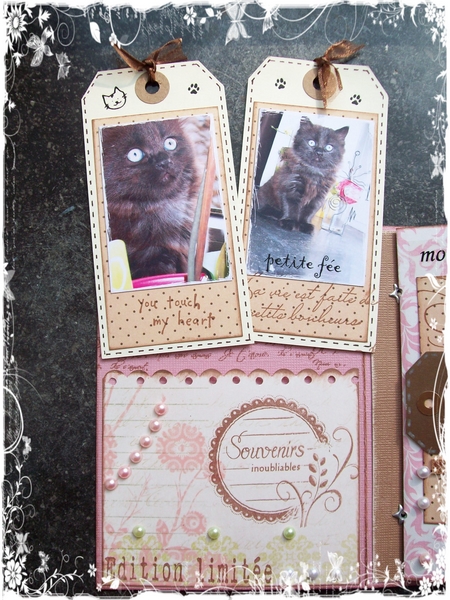 Image hébergée par Casimages.com : votre hébergeur d images simple et gratuit