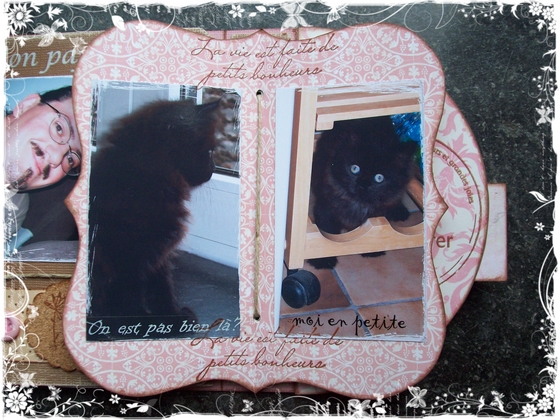 Image hébergée par Casimages.com : votre hébergeur d images simple et gratuit
