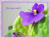 Bon mercredi