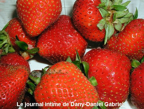 fraise