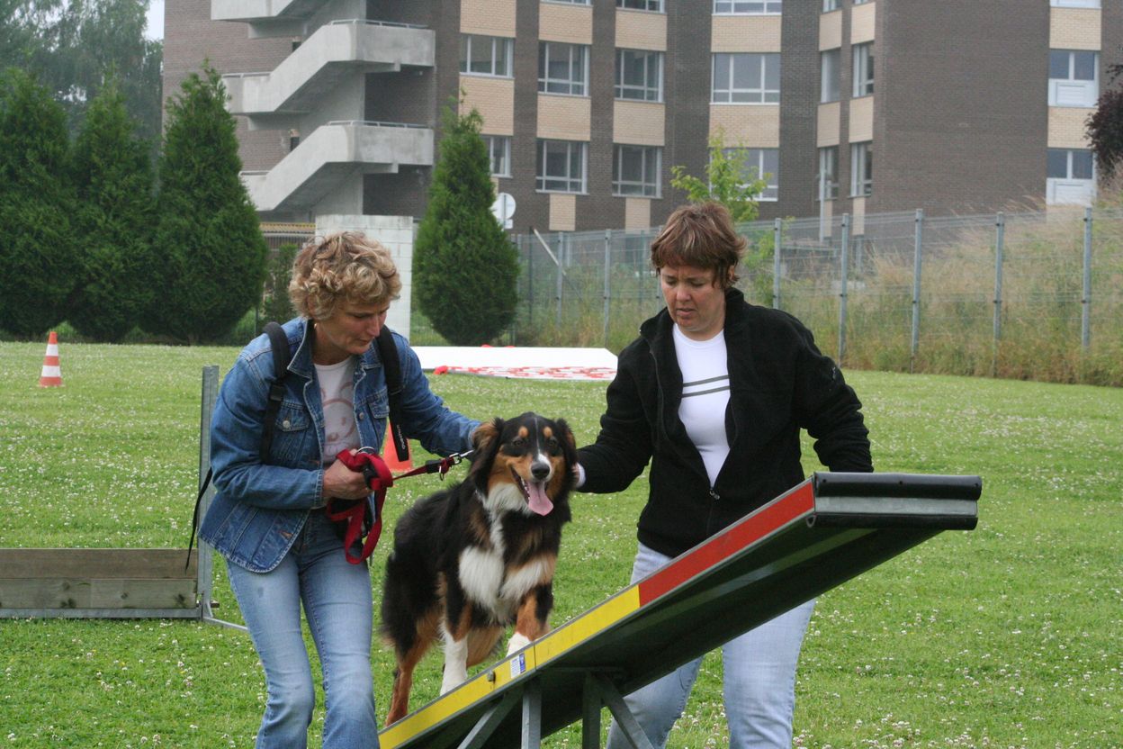 voir l'image en taille r�elle