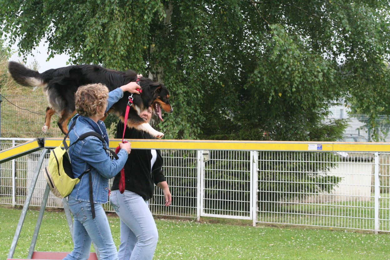 voir l'image en taille r�elle