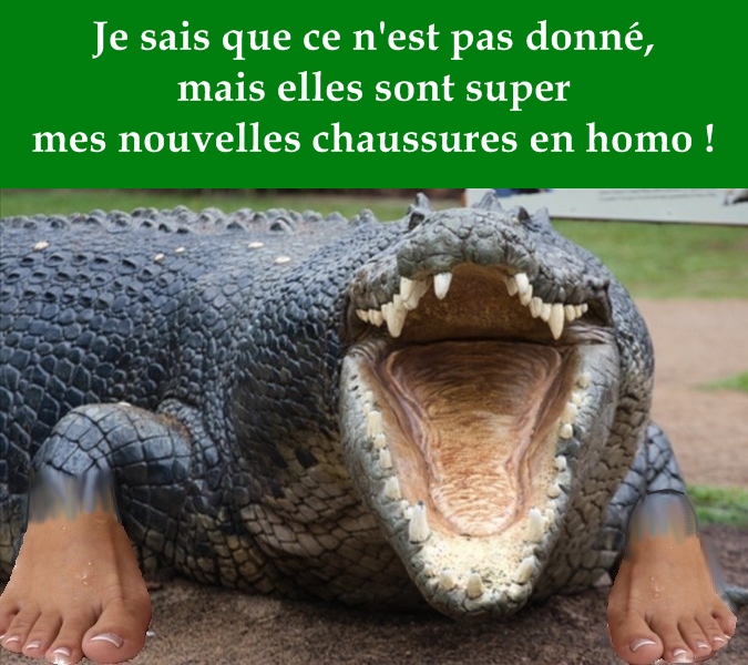 http://nsm01.casimages.com/img/2009/06/29/090629070828508193972895.jpg
