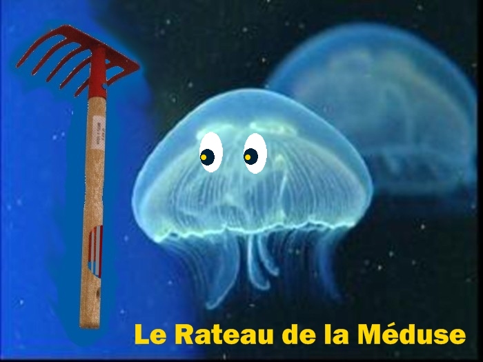 http://nsm01.casimages.com/img/2009/06/29/090629074701508193972962.jpg